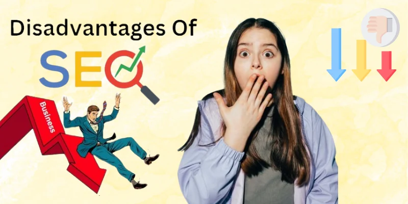 Disadvantages of SEO