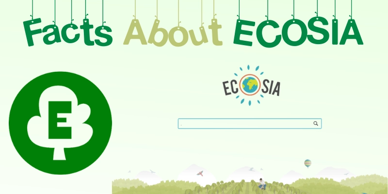 Facts about ECOSIA