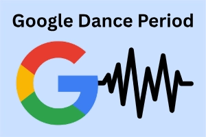 What Is Google Dance Period and How to Deal With It?