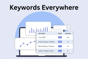 Keywords Everywhere: Best SEO Tool & How to Use It