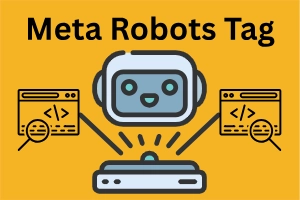 What Are Robot Meta Tags & How They Work
