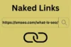 What are Naked Links in SEO? Complete Guide - Post Thumbnail