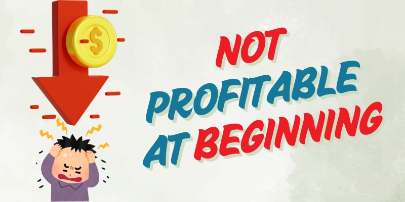 Not Profitable at Beginning