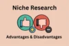 Advantages & Disadvantages of Niche Research in SEO - Post Thumbnail