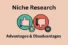 Advantages & Disadvantages of Niche Research in SEO
