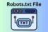 What is Robots.txt File & Why It’s Important for Every Website