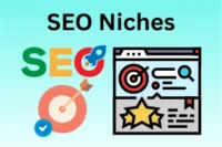 Types of SEO Niches: Definition, Example, Pros & Cons