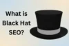 What is Black Hat SEO? Complete Beginner Guide & Risks - Post Thumbnail