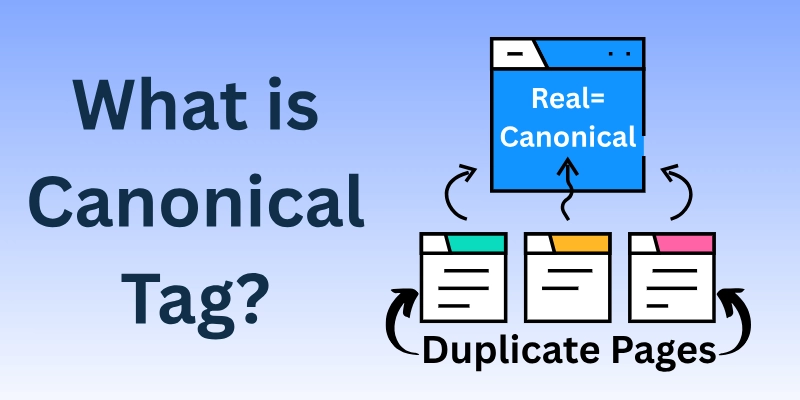 What Is Canonical Tag?