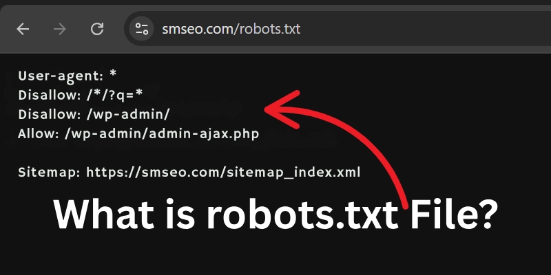 What is Robots.txt File?