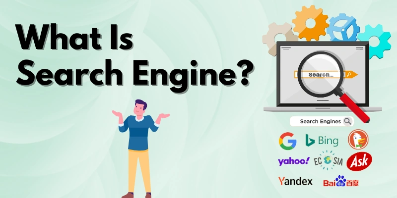 What is Search Engine