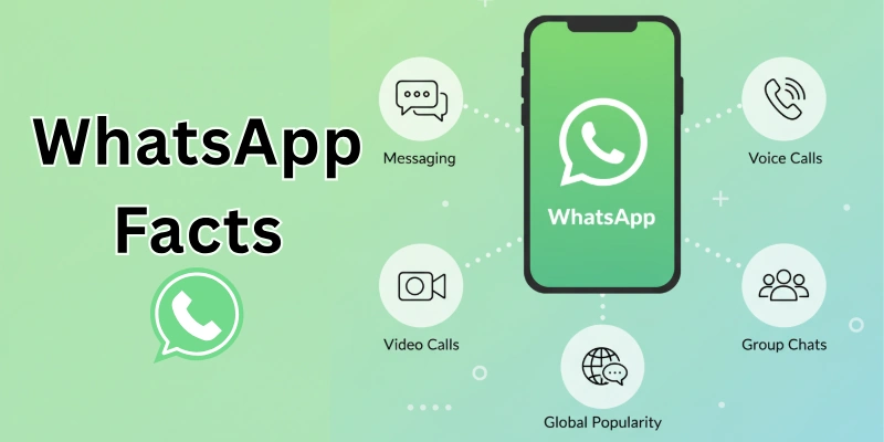 WhatsApp Facts